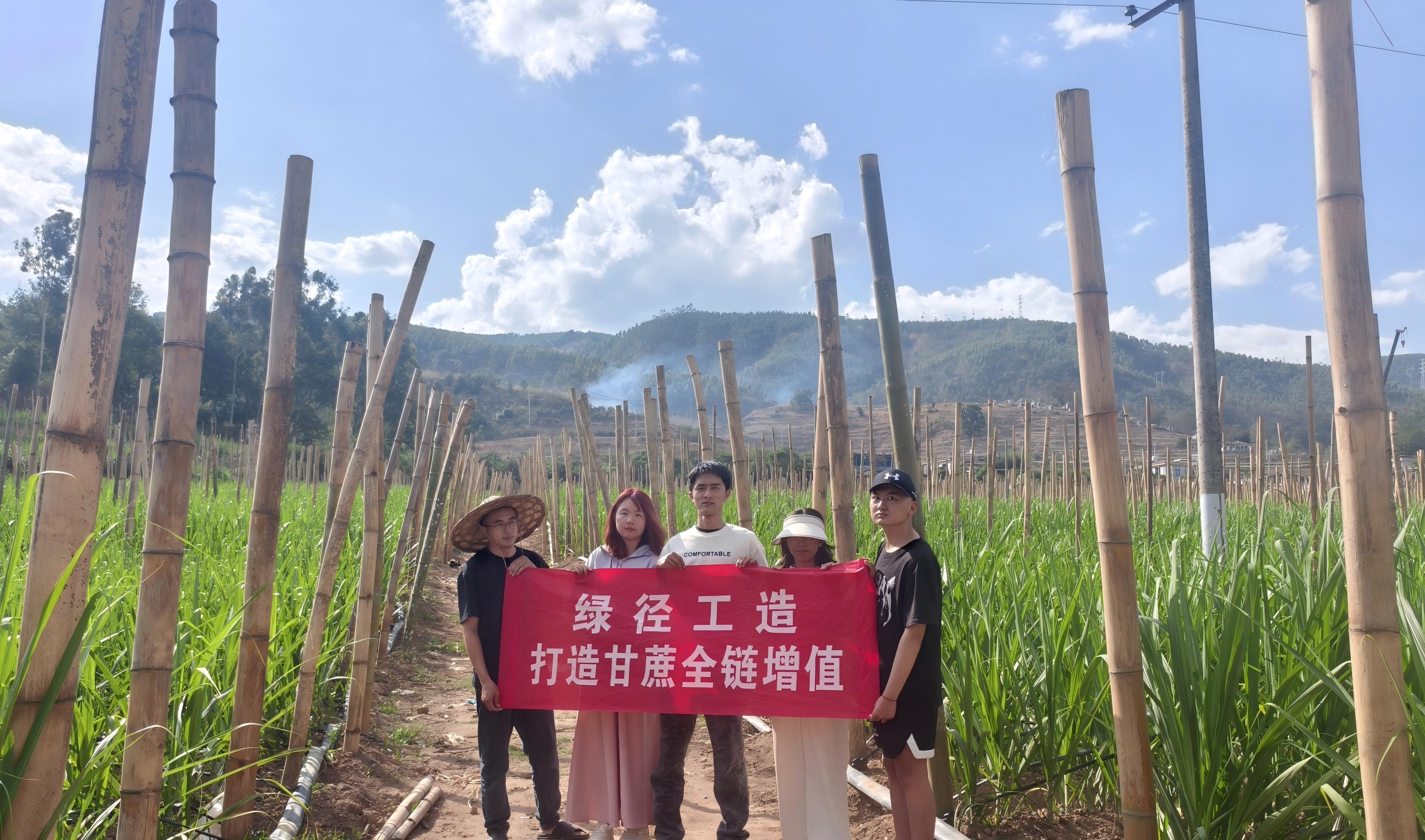 甘蔗產業鏈循環利用，賦能鄉村振興新實踐